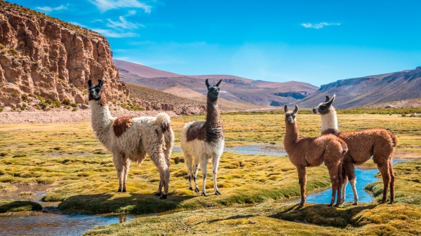 Peru