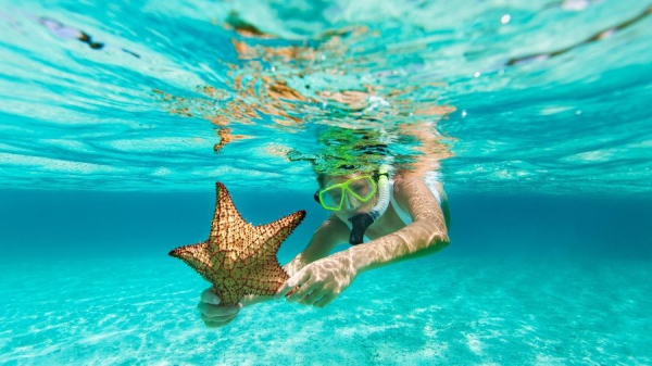 Caribe